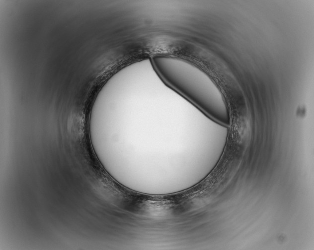 X0000103400556200810031227