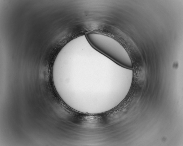 X0000103400558200810031227