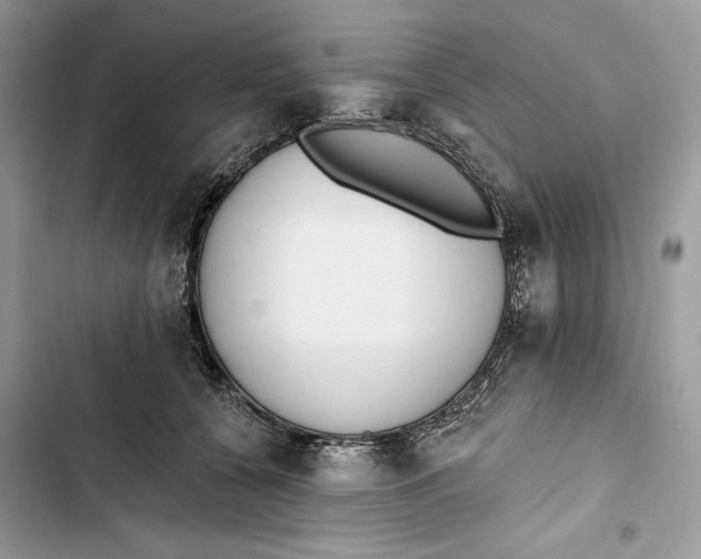 X0000103400560200810031227