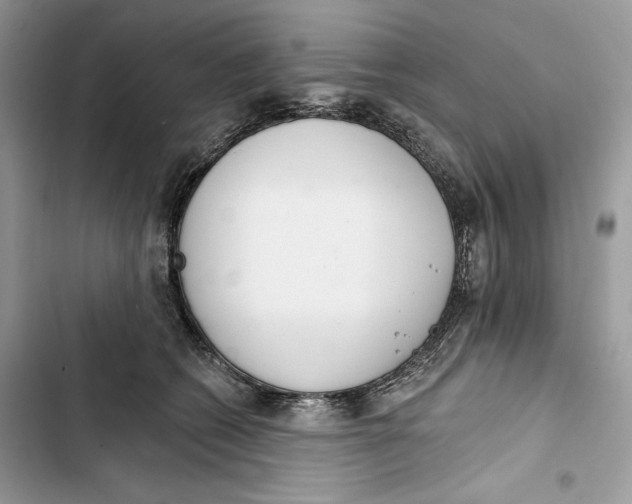 X0000103400562200810031227