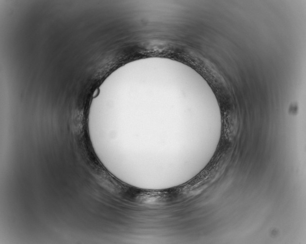 X0000103400563200810031227