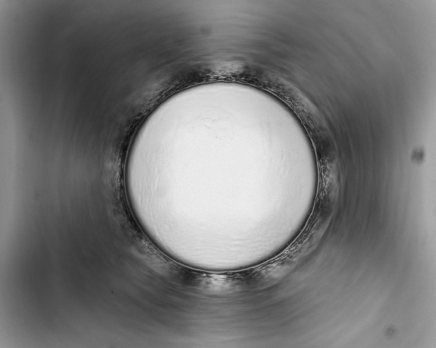 X0000103400565200810031227