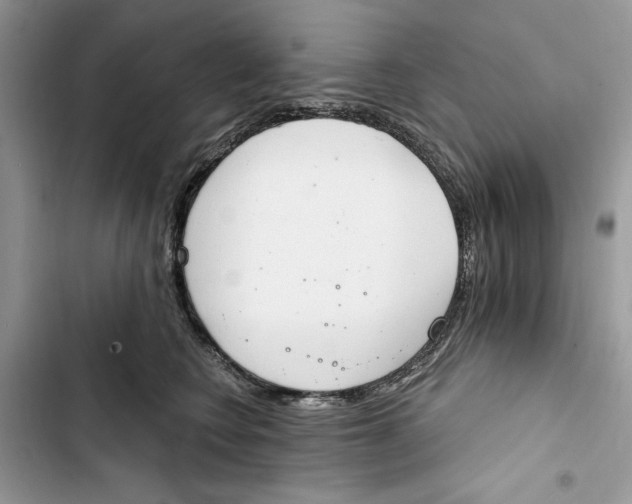 X0000103400566200810031227