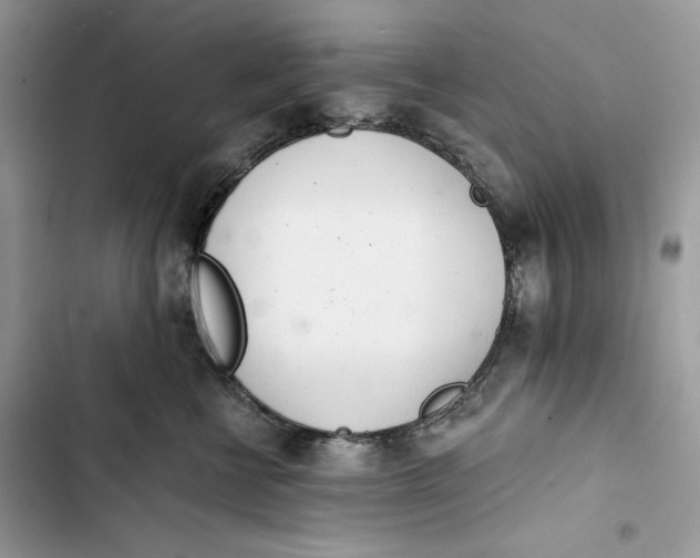 X0000103400570200810031227