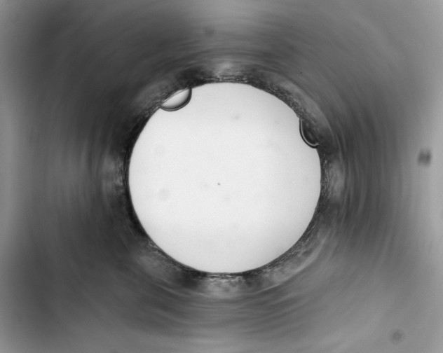 X0000103400571200810031227