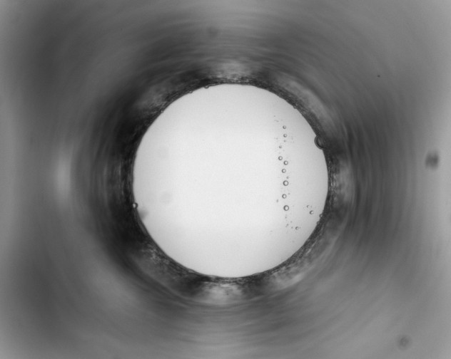 X0000103400572200810031227