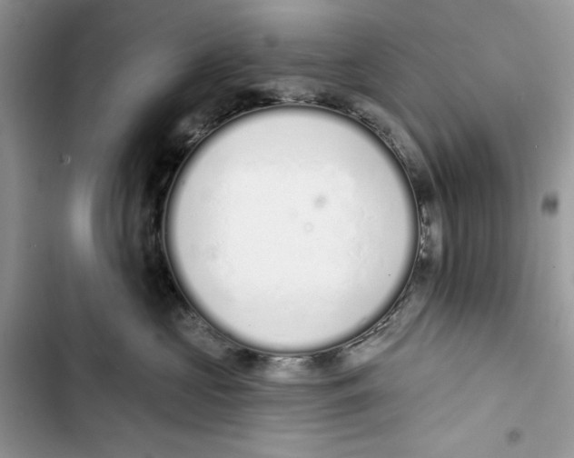 X0000103400573200810031227