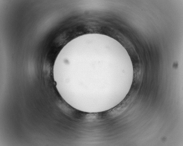 X0000103400574200810031227