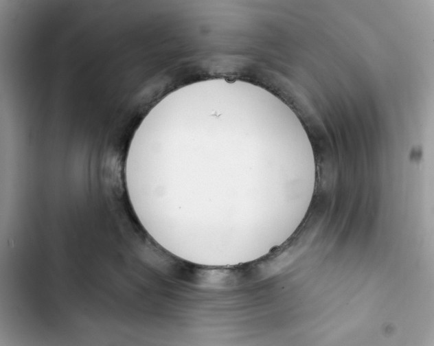 X0000103400575200810031227