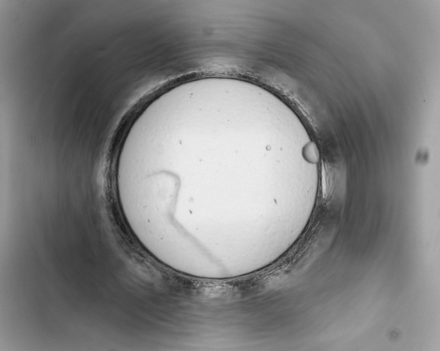 X0000103400579200810031226