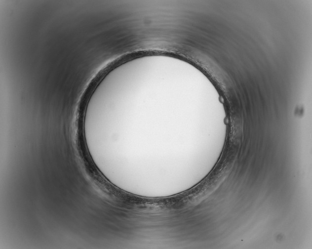 X0000103400580200810031226