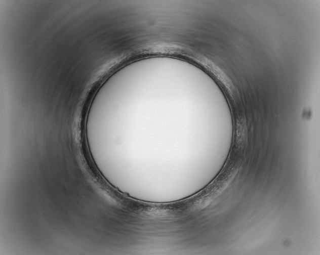 X0000103400581200810031226