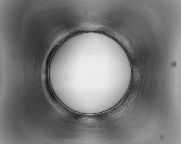 X0000103400582200810031226