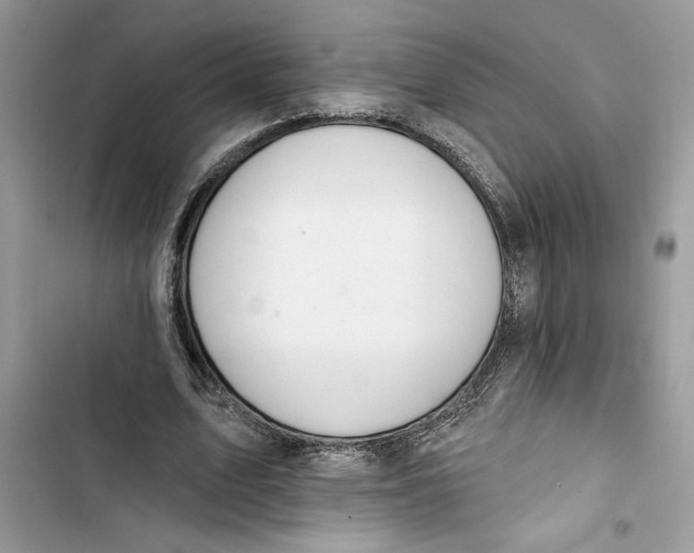 X0000103400583200810031226