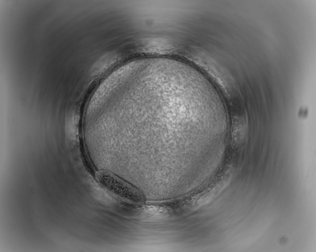 X0000103400585200810031226