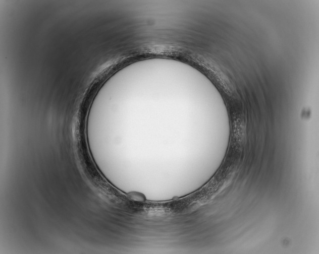 X0000103400587200810031226