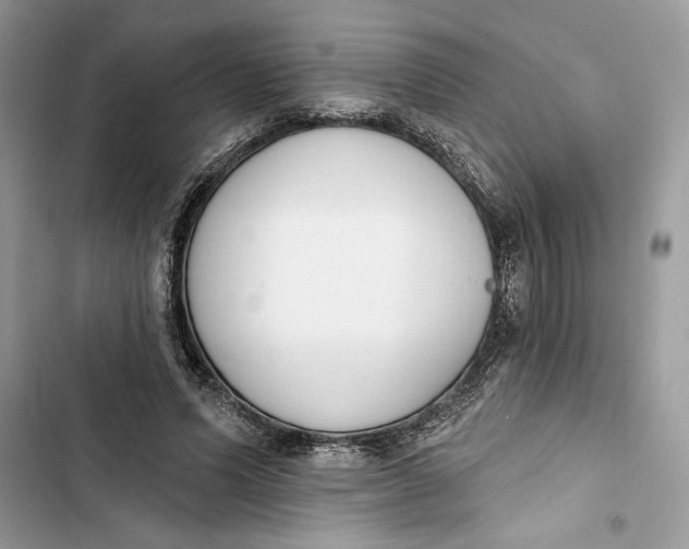 X0000103400591200810031226