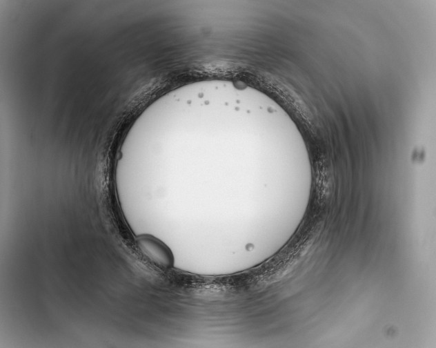 X0000103400593200810031226