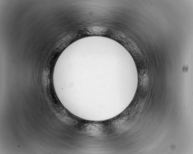 X0000103400599200810031226