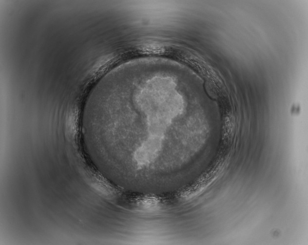 X0000103400600200810031226