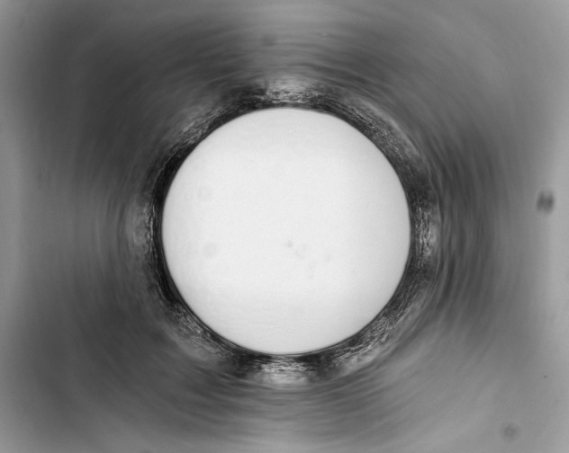 X0000103400603200810031226