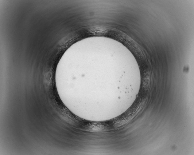 X0000103400604200810031226