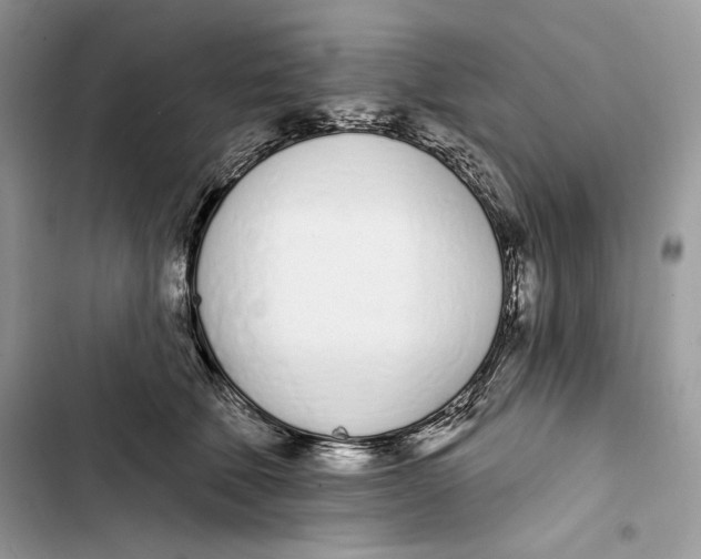 X0000103400610200810031226