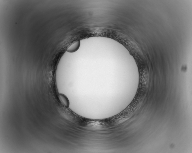 X0000103400611200810031226