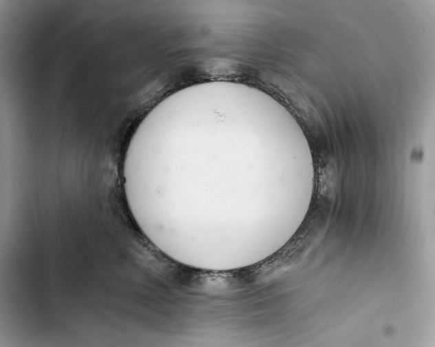 X0000103400618200810031226