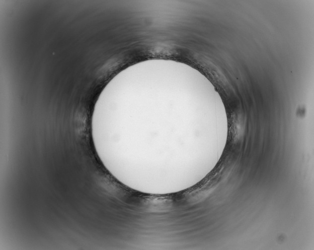 X0000103400619200810031226