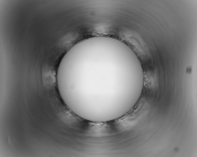 X0000103400621200810031226