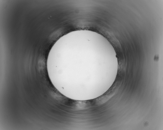 X0000103400623200810031226