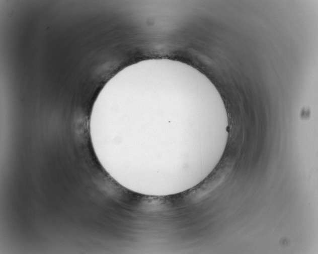 X0000103400624200810031226