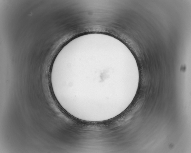 X0000103400625200810031225