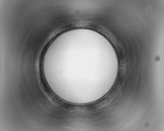 X0000103400626200810031225