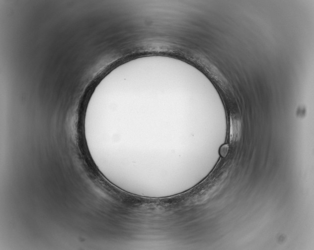 X0000103400627200810031225