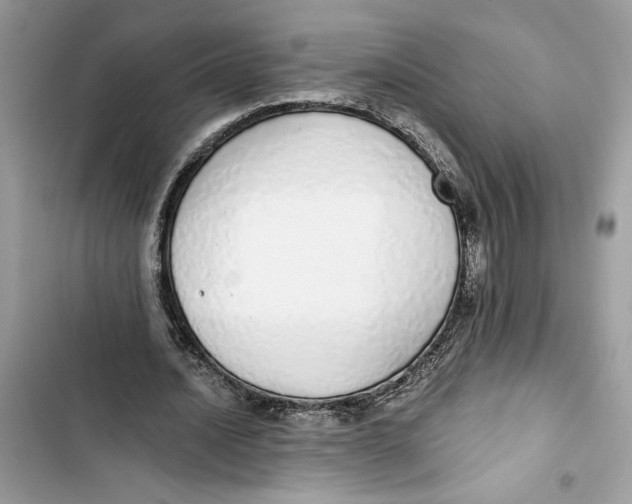 X0000103400628200810031225