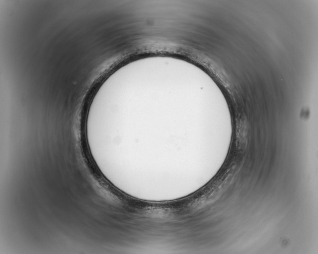 X0000103400629200810031225