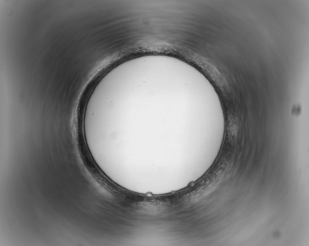 X0000103400630200810031225