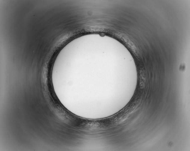 X0000103400631200810031225