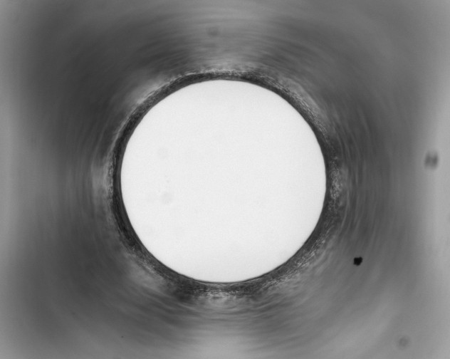 X0000103400632200810031225