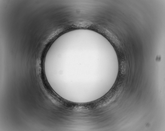 X0000103400634200810031225