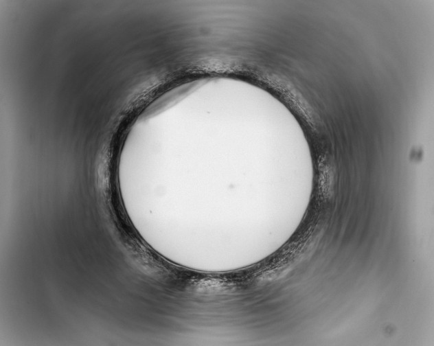 X0000103400635200810031225