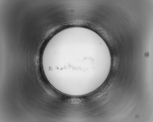 X0000103400636200810031225