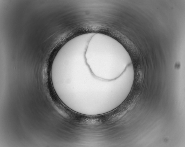 X0000103400638200810031225