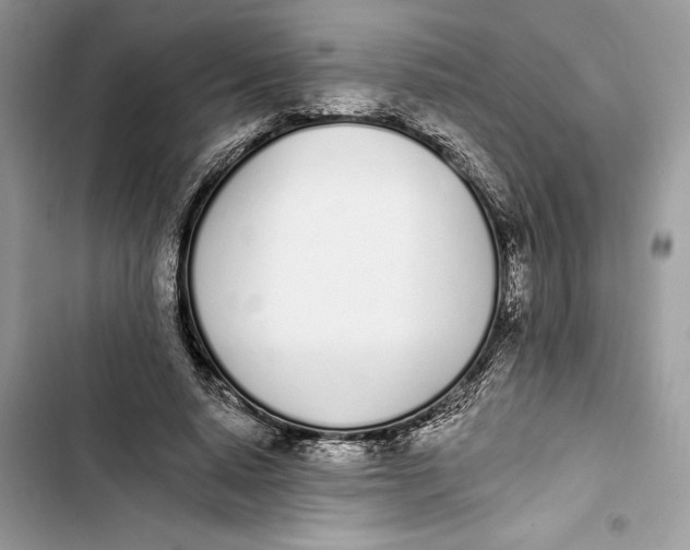 X0000103400640200810031225