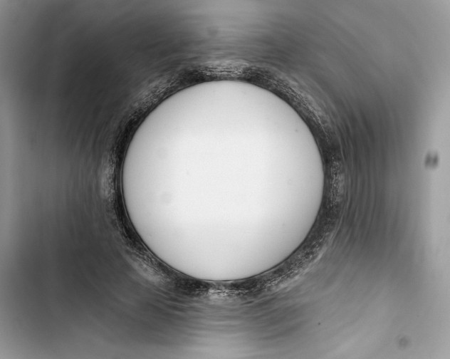 X0000103400641200810031225