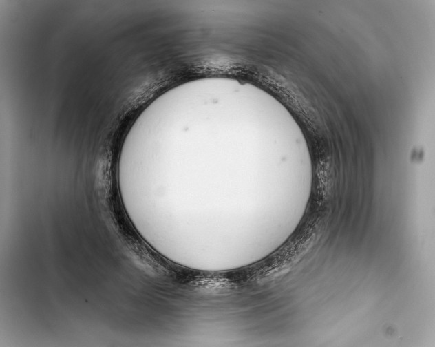 X0000103400642200810031225