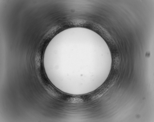 X0000103400644200810031225