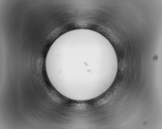 X0000103400645200810031225